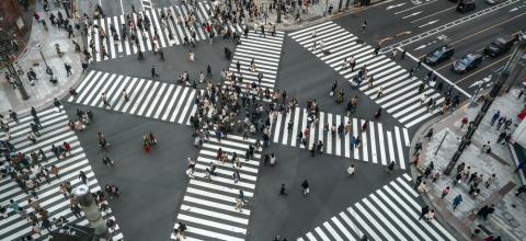 Tokyo Road Crossing
