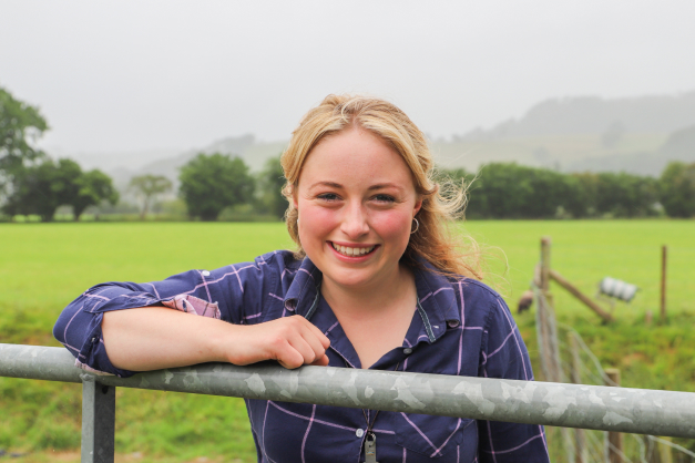 Alternative text (CY)