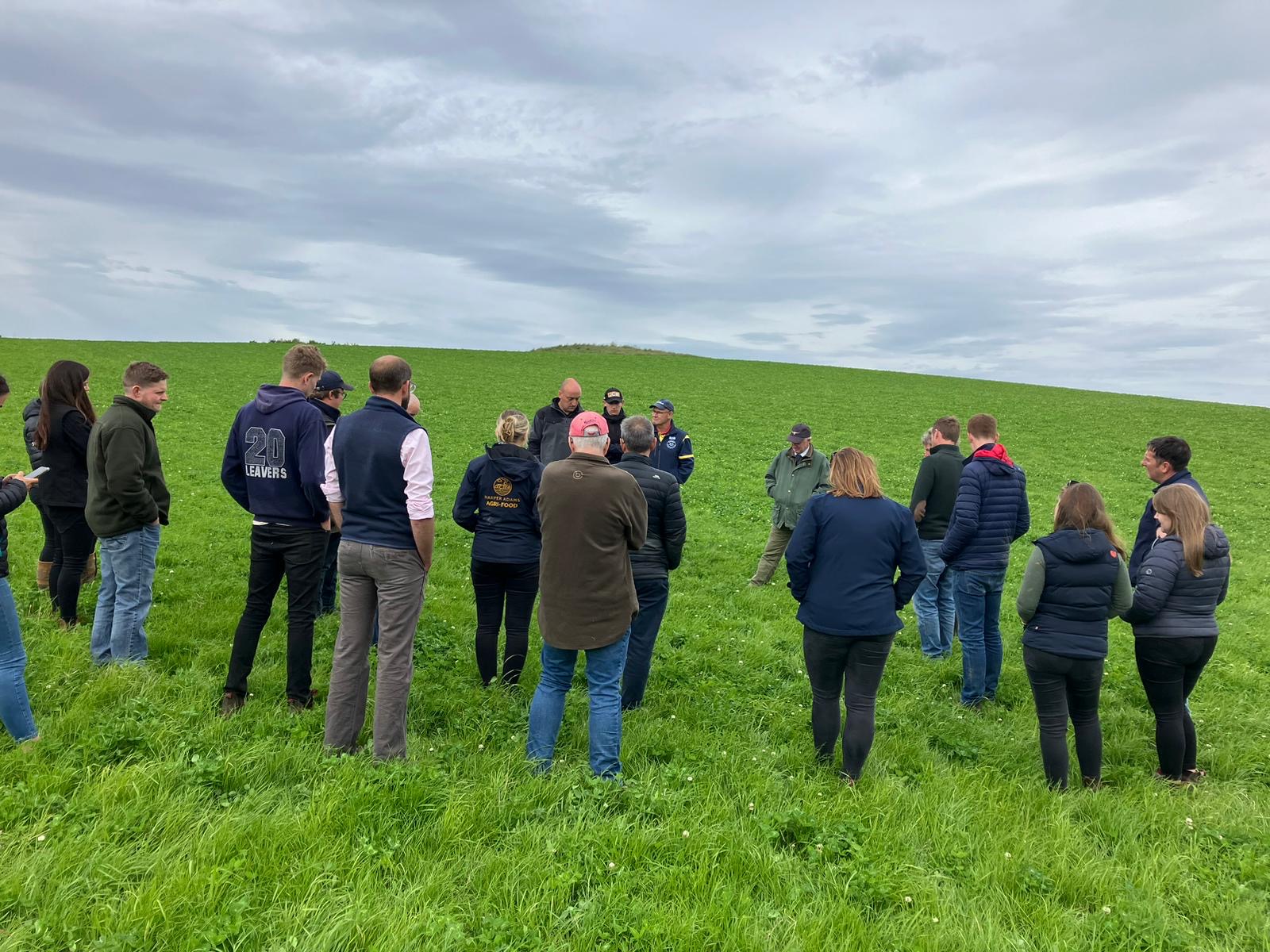 MasterGrass a MasterRegen