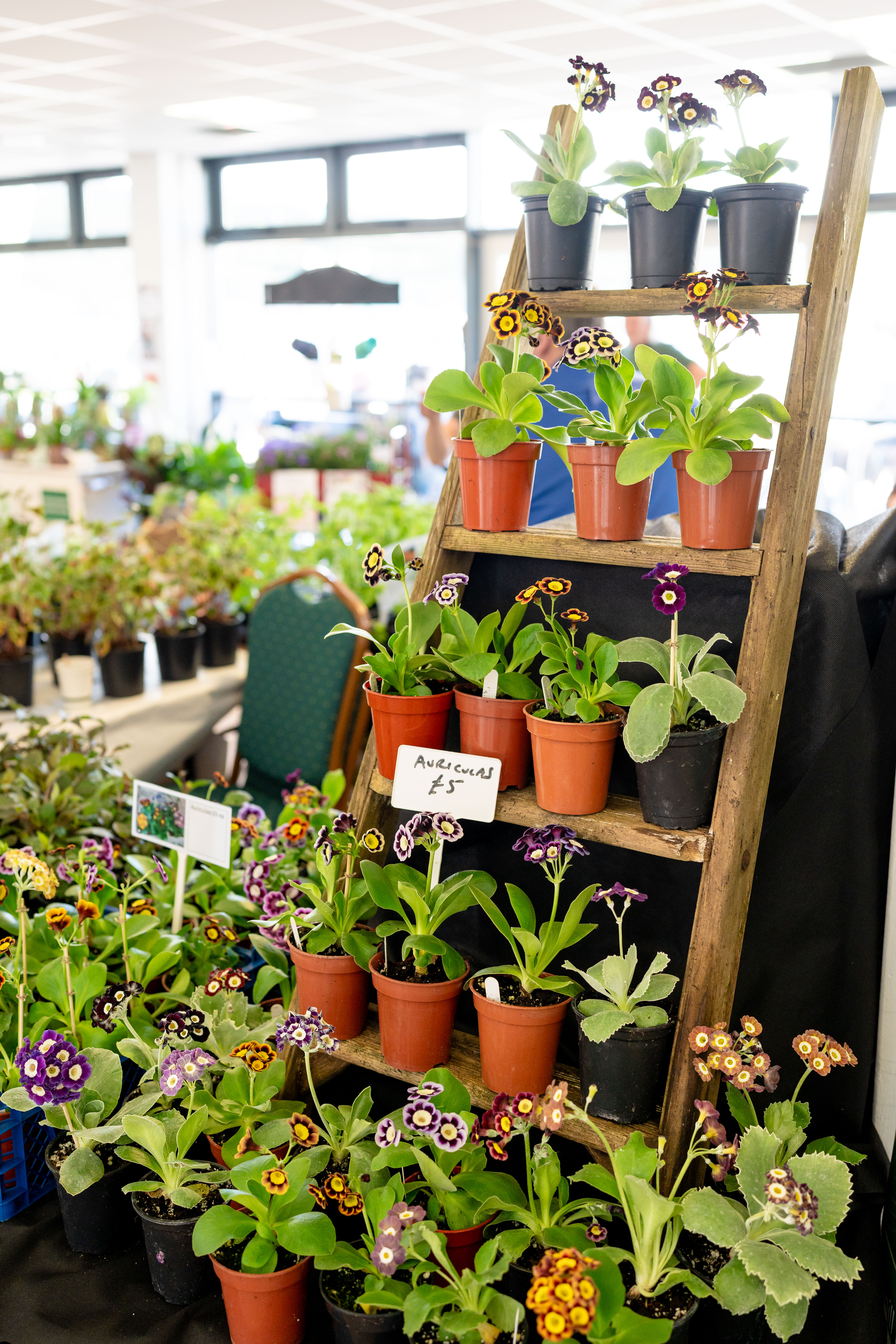 Mark Your Calendar: Farming Connect at Spring Festival offering Support for Growers and Farmers