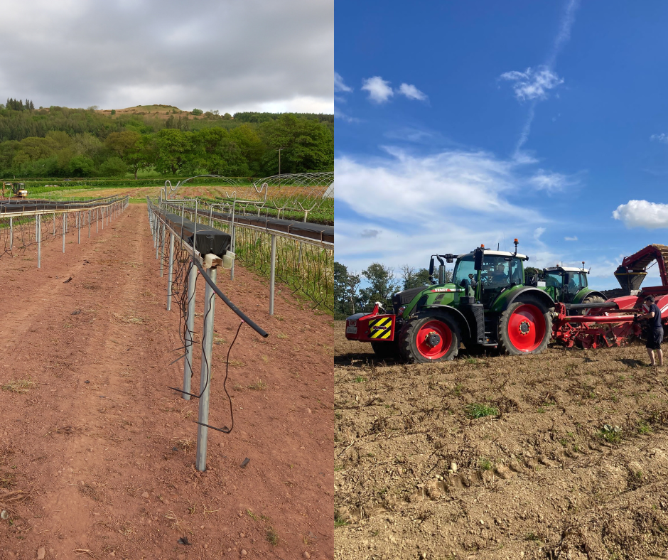 Horticulture Development Scheme