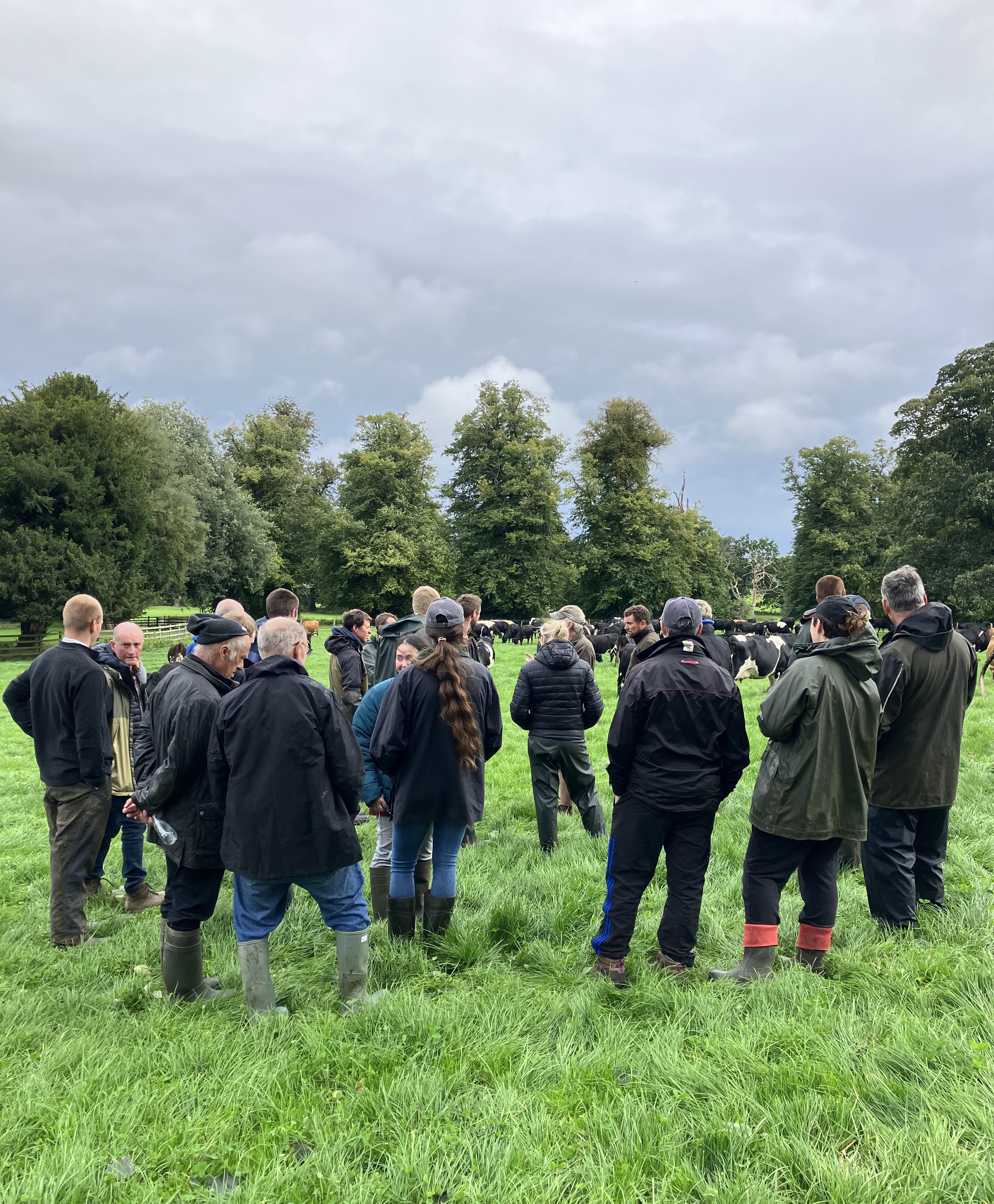 Once a Day Milking at Clawdd Offa