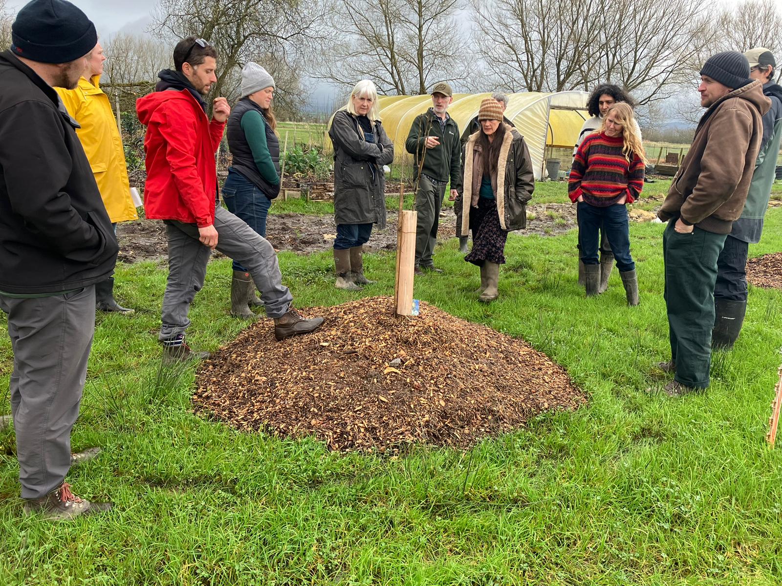 Elderberry growers’ co-operative idea “ready to go’’ if funding can be secured