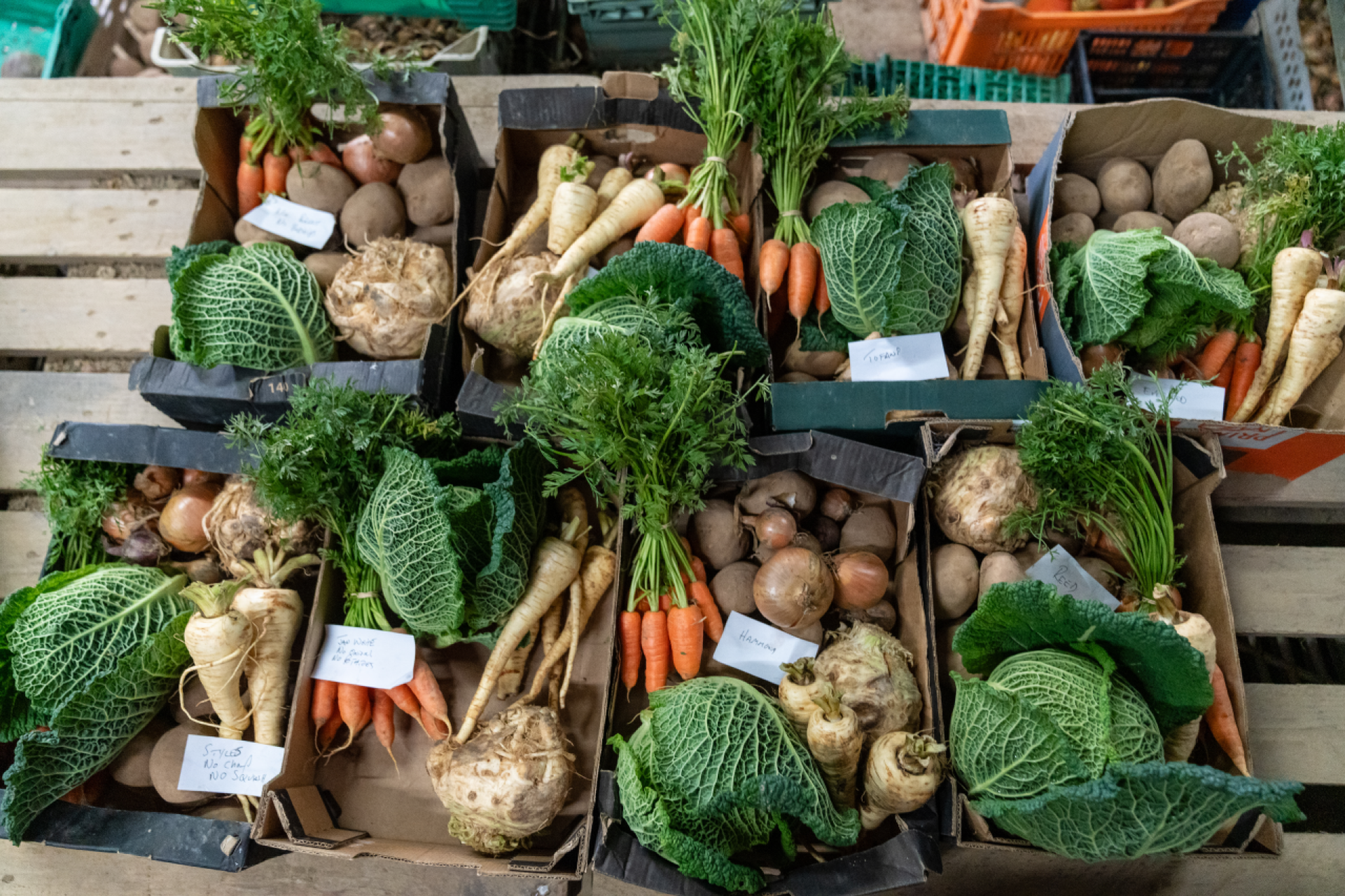 Growers urged to register