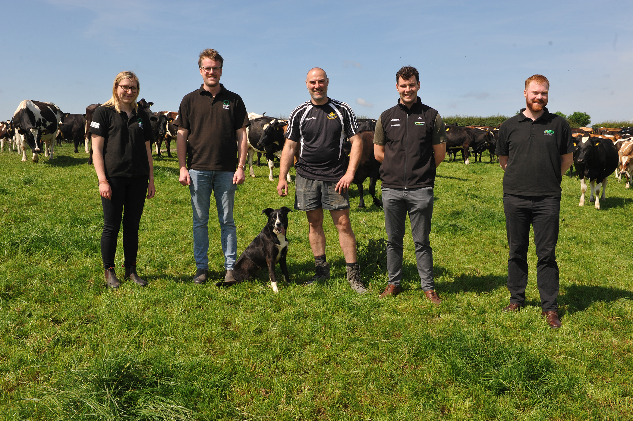 How an energy audit can help farm businesses capture significant cost savings