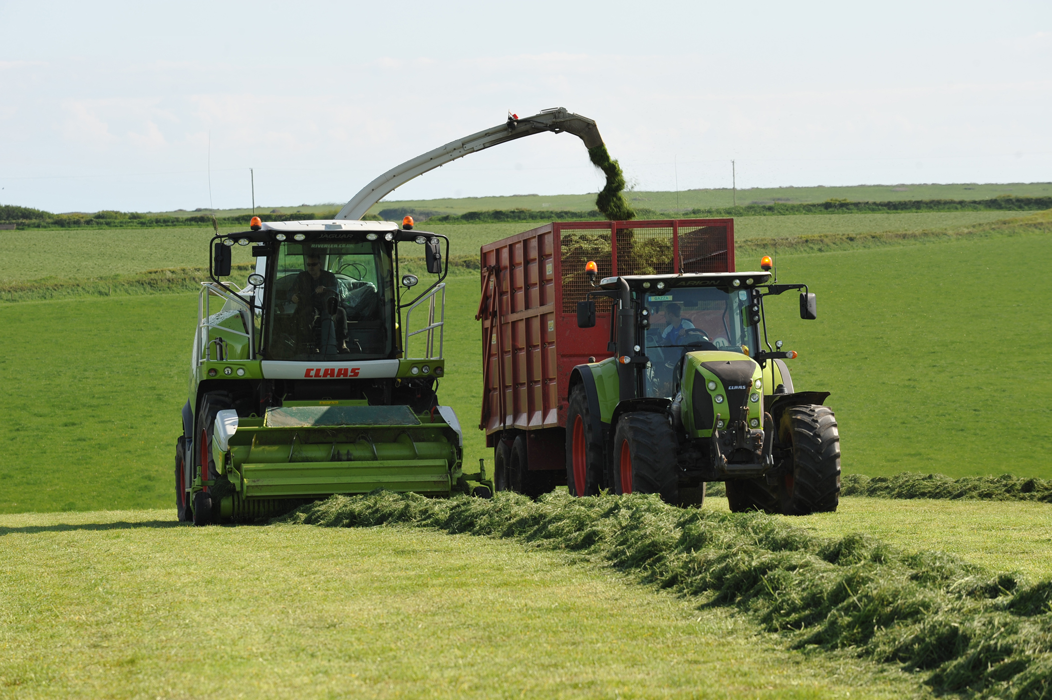 Preparing for harvest
