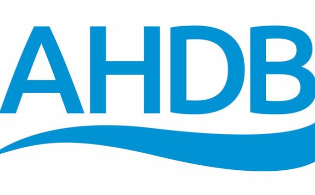 AHDB