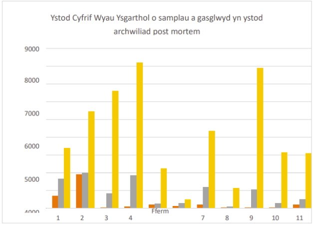 cyfrif wyau