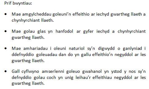 Prif bwyntiau