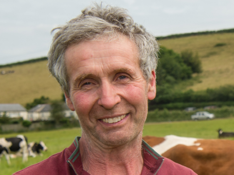 David Brooke