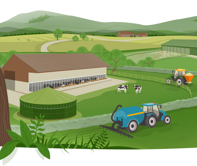 Farm illustration