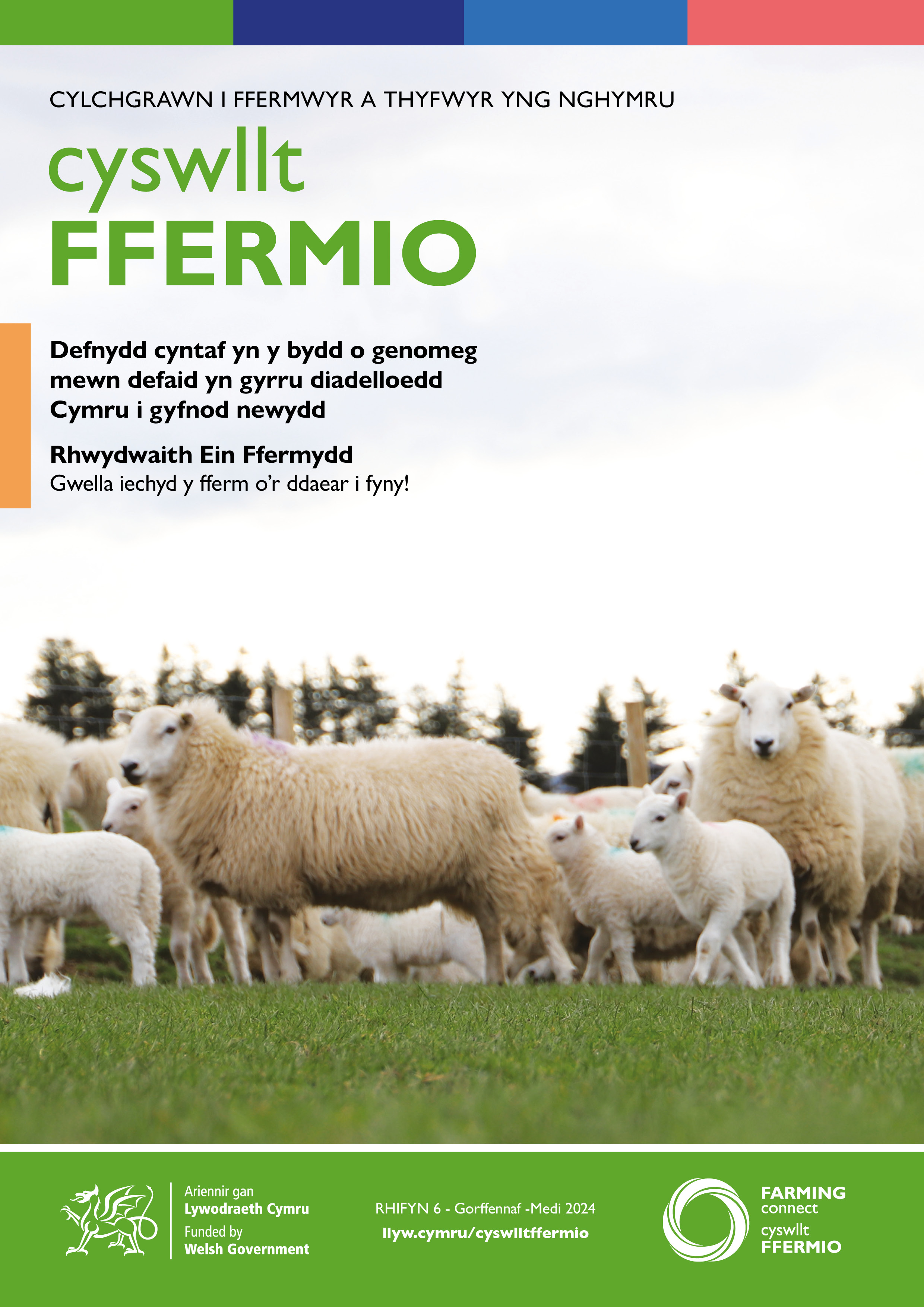 Cyswllt Ffermio - Rhifyn 5 - Gorffennaf -Medi 2024