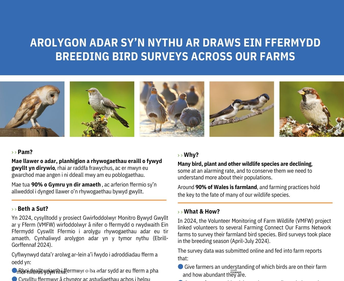 Arolygon Adar Sy’n Nythu Ar Draws Ein Ffermydd - Breeding Bird Surveys Across Our Farms