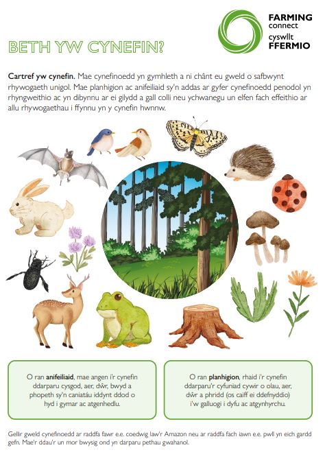 Beth yw Cynefin?