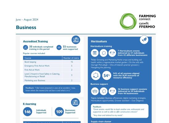 Business June – August 2024