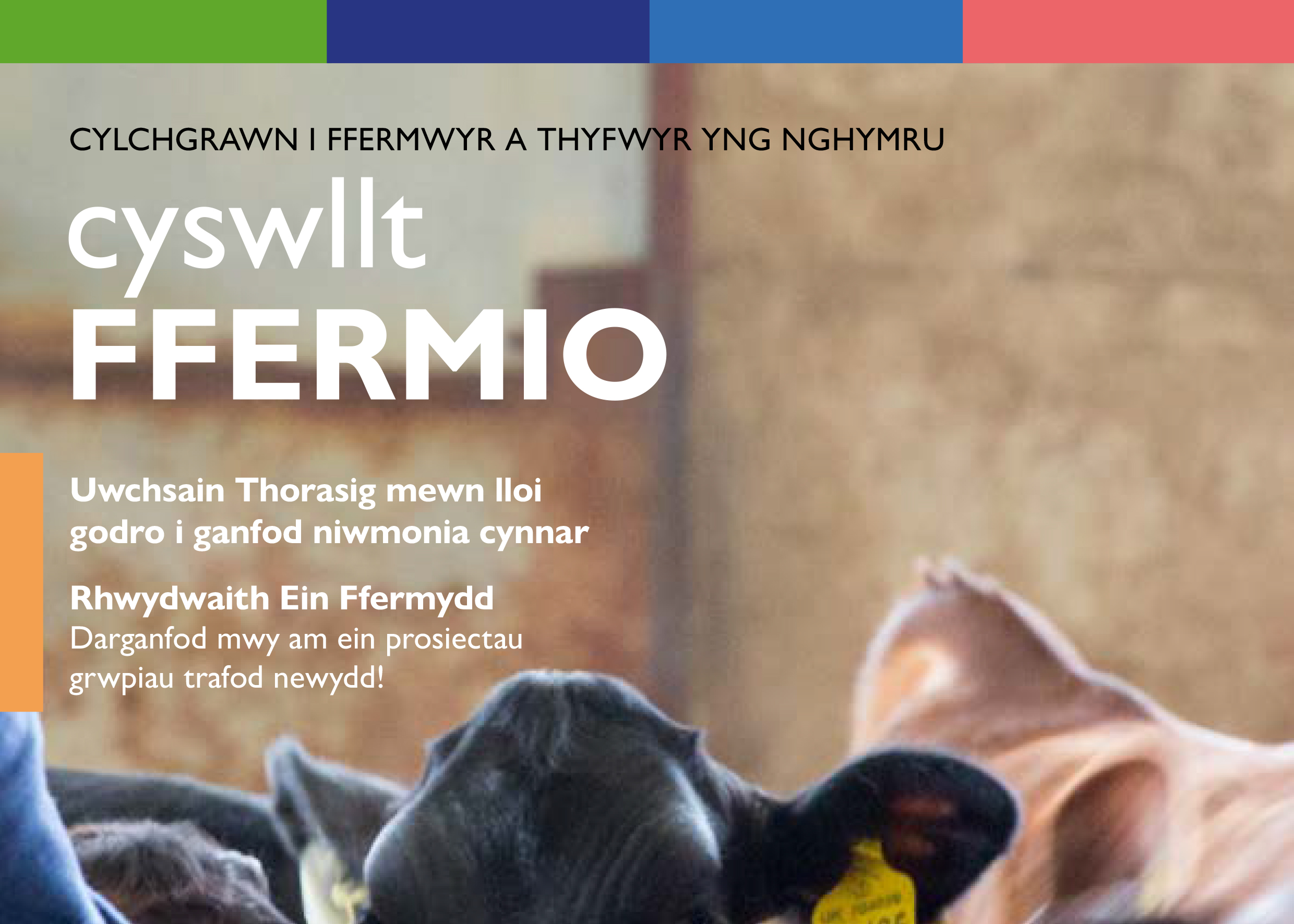 CFf - Rhifyn 5 - Ebrill - Mehefin 2024