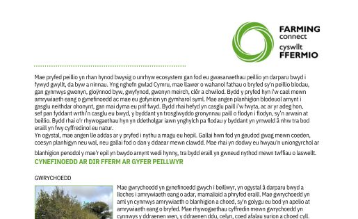 Cynefinoedd Ar Gyfer Peillwyr