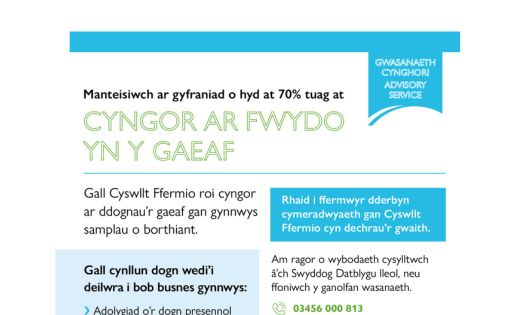 Cyngor Ar Fwydo Yn Y Gaeaf