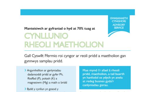 Cynllunio Rheoli Maetholion