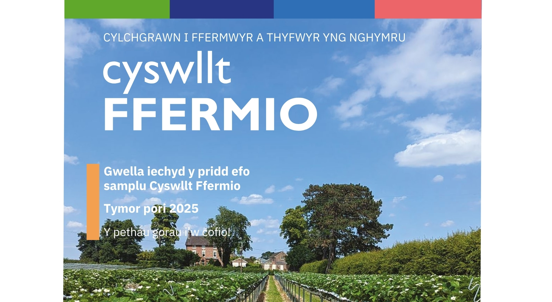 Cyswllt Ffermio - Rhifyn 8 - Ionawr - Mawrth 2025