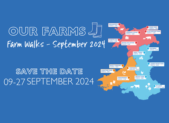Our Farms Farm Walks