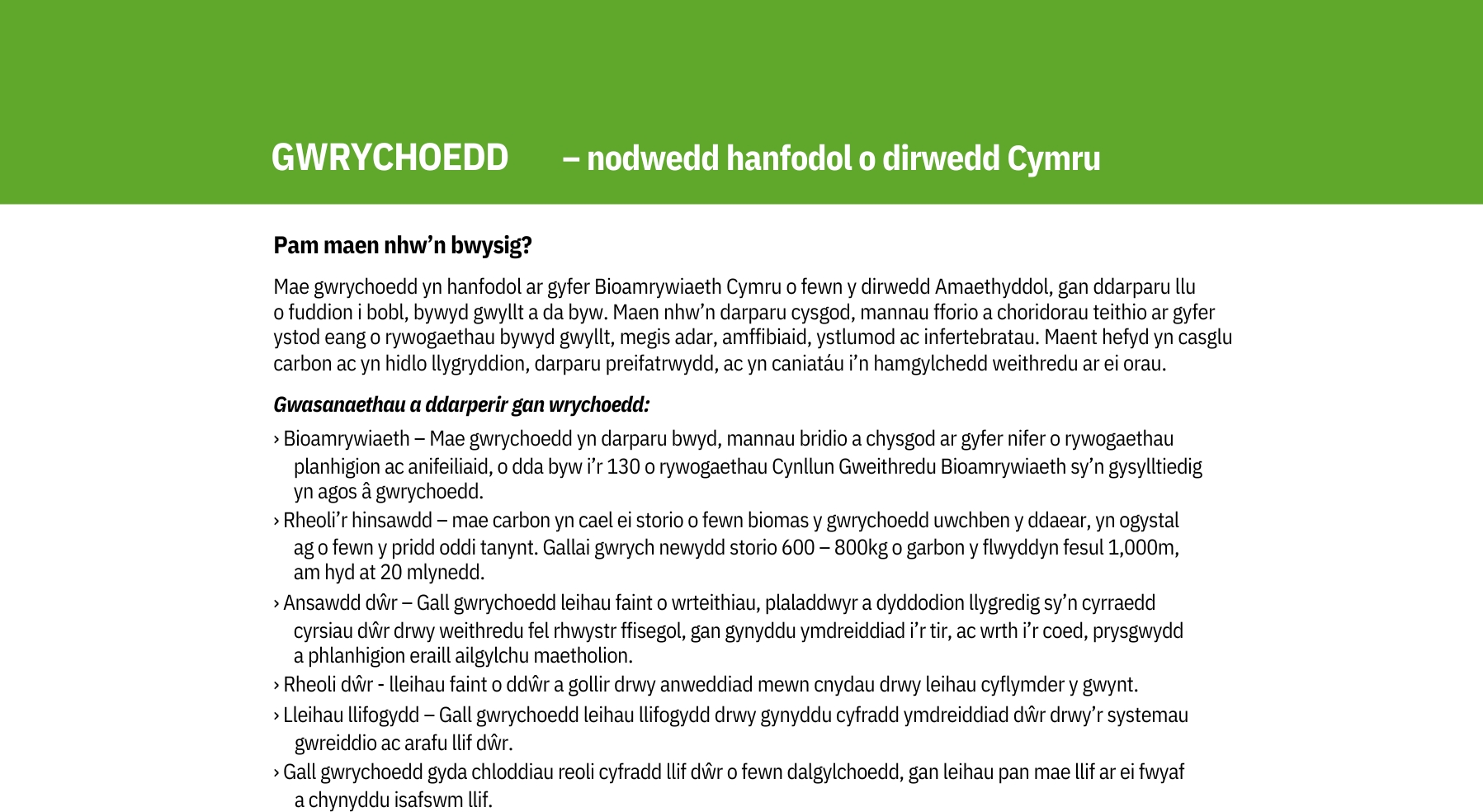 GWRYCHOEDD – nodwedd hanfodol o dirwedd Cymru