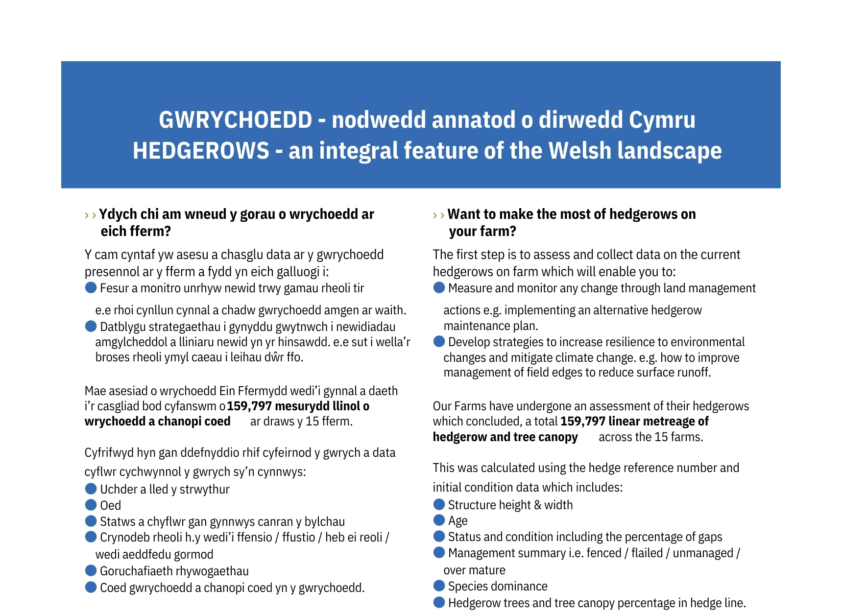 GWRYCHOEDD - nodwedd annatod o dirwedd Cymru - HEDGEROWS - an integral feature of the Welsh landscape