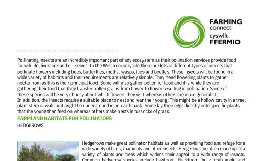 Habitats For Pollinators