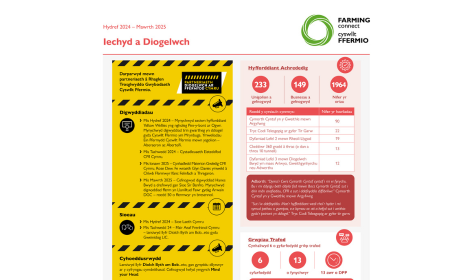 Iechyd a Diogelwch Hydref 2024 – Mawrth 2025