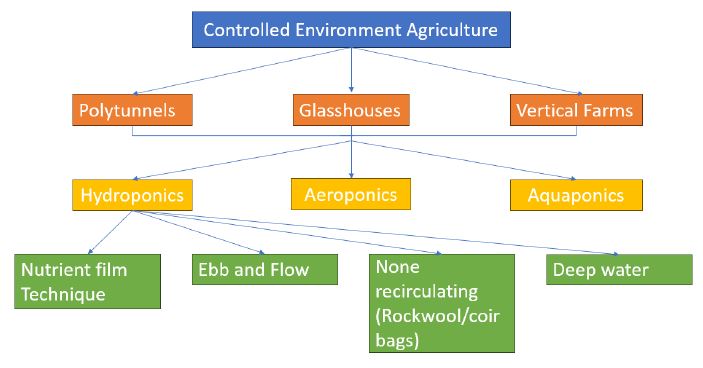 Incorporating Controlled Environment Agriculture into your existing business model