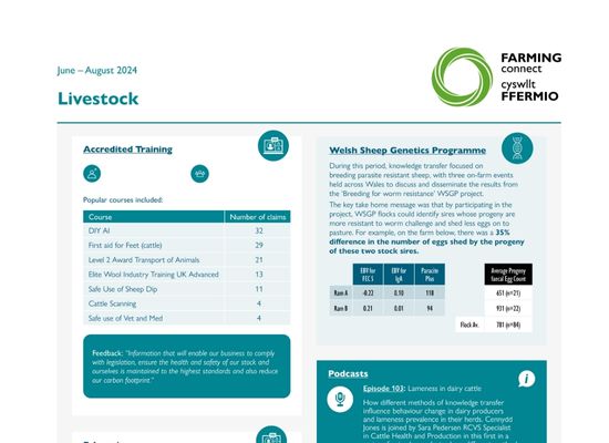 Livestock June - August 2024
