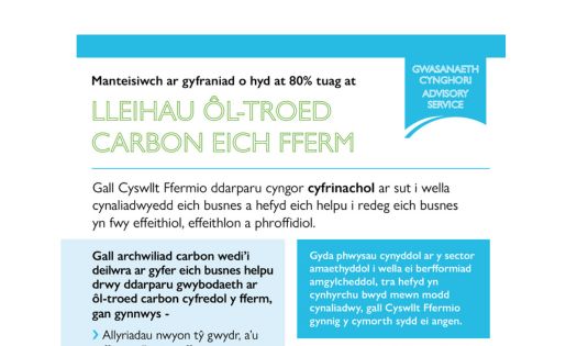 Lleihau Ôl-Troed Carbon Eich Fferm