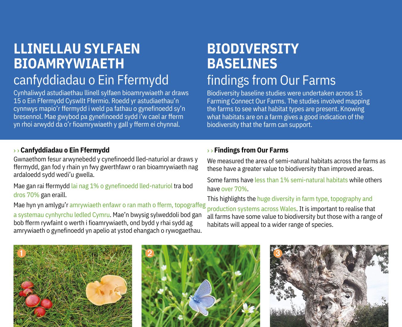 Llinellau Sylfaen Bioamrywiaeth - Biodiversity Baselines