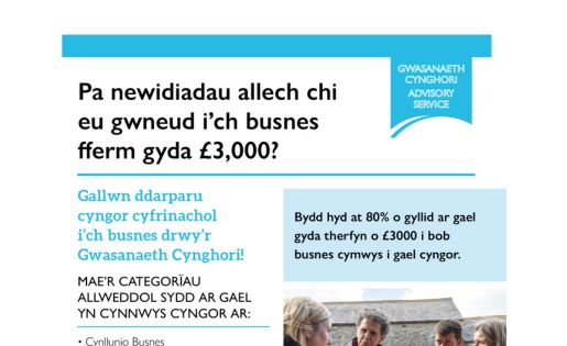 Pa newidiadau allech chi eu gwneud i’ch busnes fferm gyda £3,000