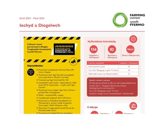 Iechyd a Diogelwch Awst 2024 – Ionawr 2025
