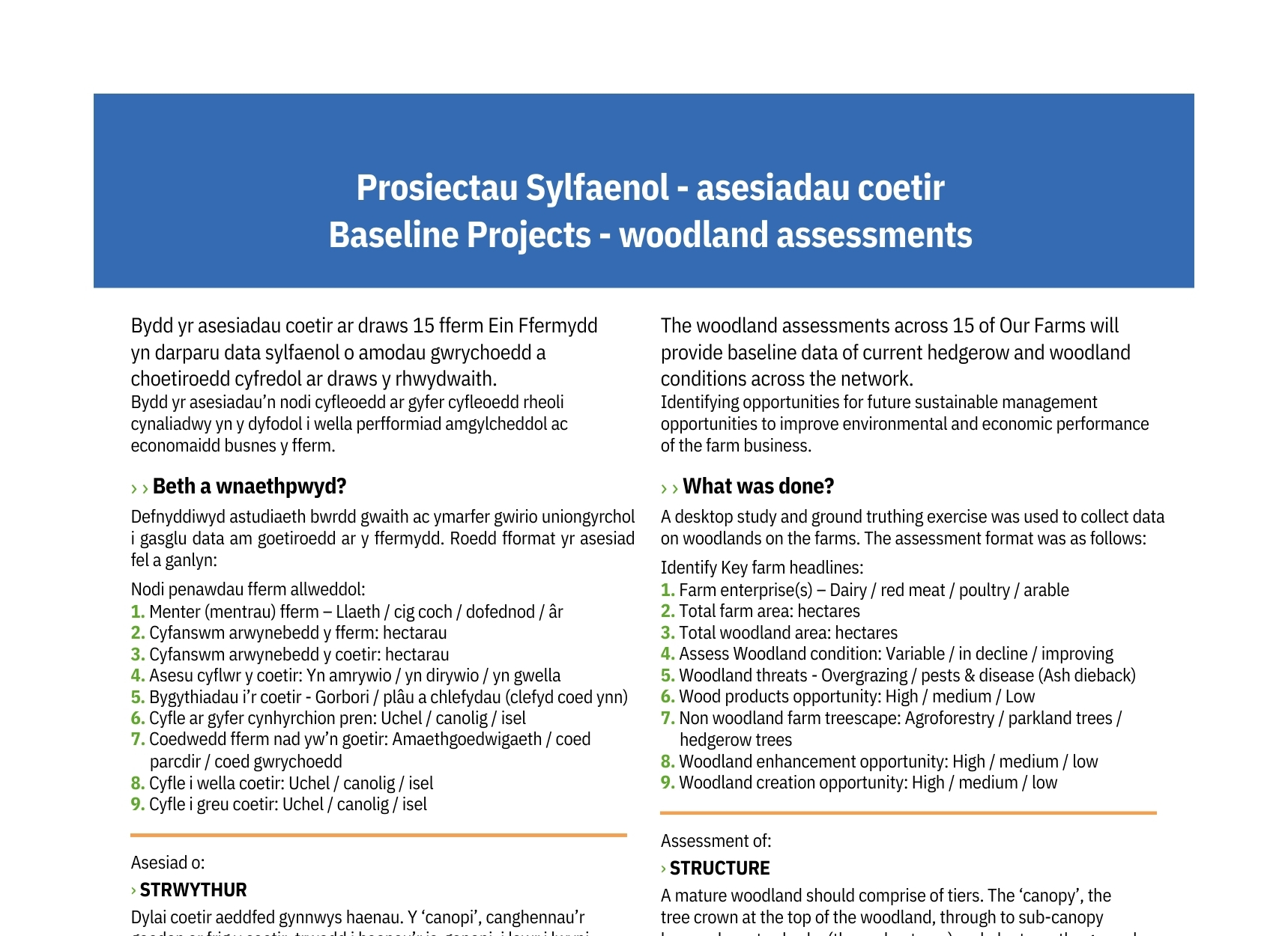 Prosiectau Sylfaenol - asesiadau coetir - Baseline Projects - woodland assessments