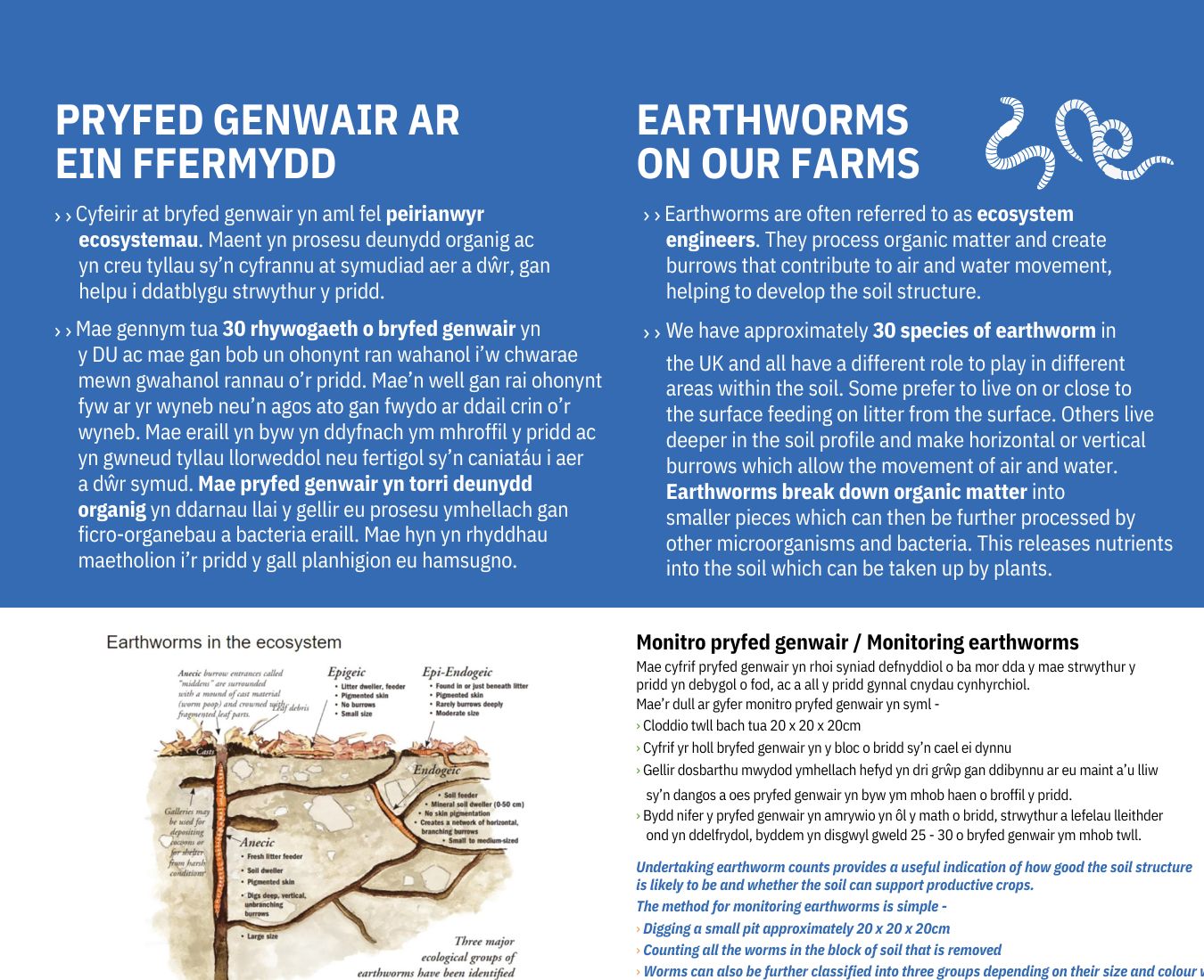 Pryfed Genwair Ar Ein Ffermydd -  Earthworms On Our Farms