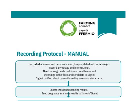  Recording Protocol - MANUAL