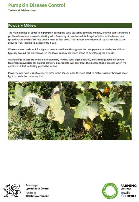 Pumpkins Advice Sheet