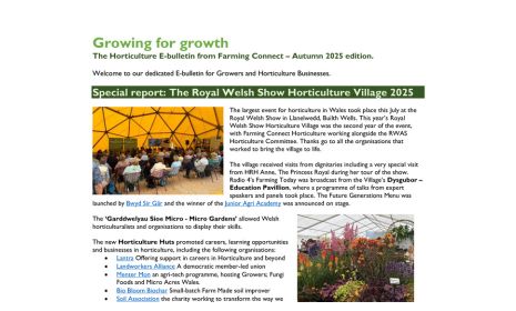 The Horticulture E-bulletin from Farming Connect – Autumn 2025 edition