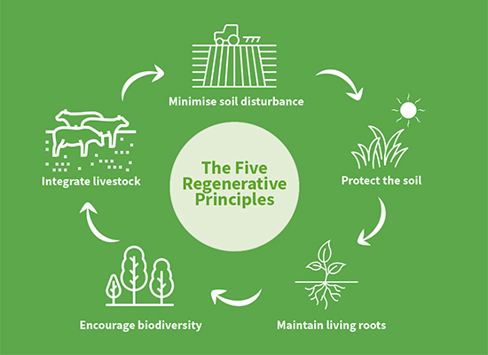 Thinking About Regenerative Farming