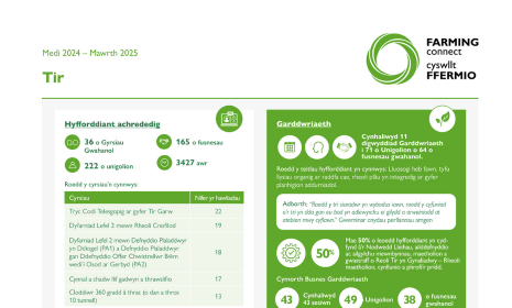 Tir Medi 2024 – Mawrth 2025