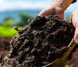 Veg Growing – Spring Planning