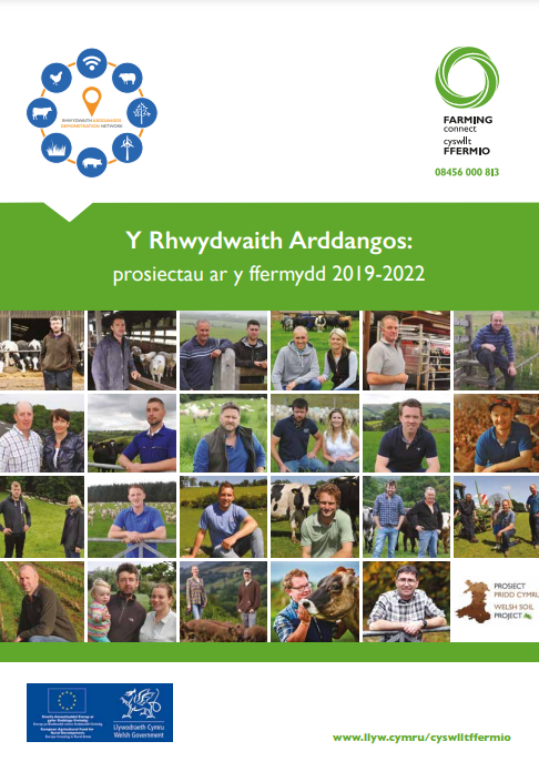 Y Rhwydwaith Arddangos