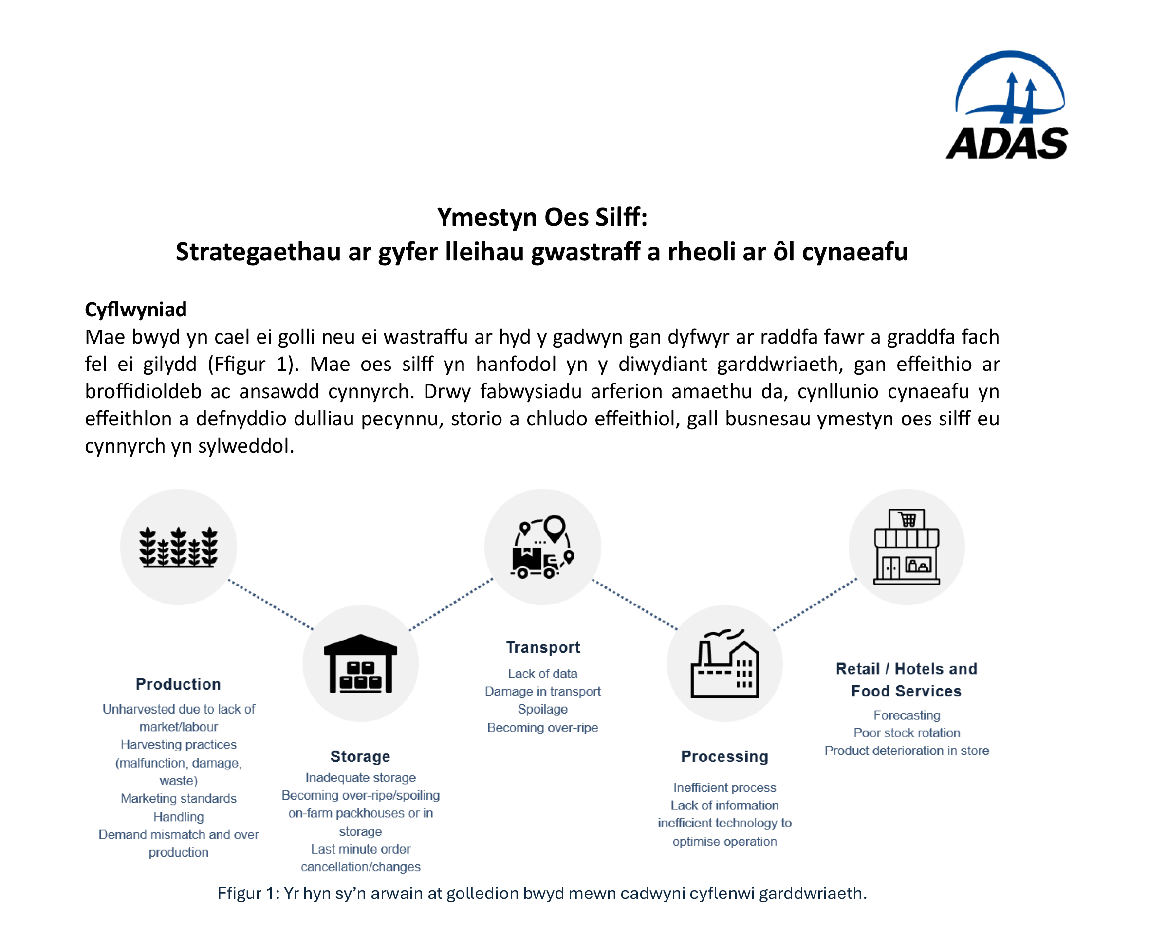 Ymestyn Oes Silff: Strategaethau ar gyfer lleihau gwastraff a rheoli ar ôl cynaeafu