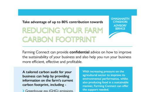 Reducing Your Farm Carbon Footprint