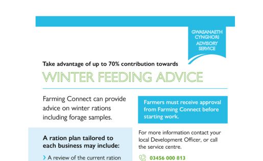 Winter Feeding Advice