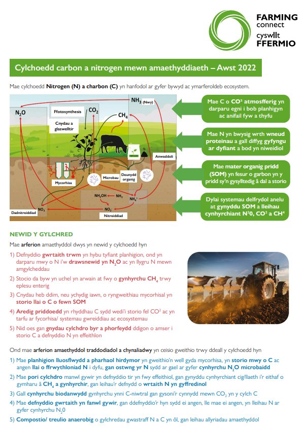 Cylchoedd carbon a nitrogen