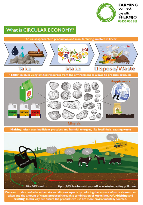What is Circular Economy?