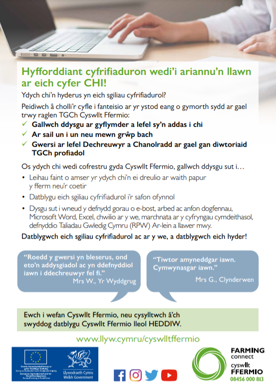 Hyfforddiant cyfrifiaduron